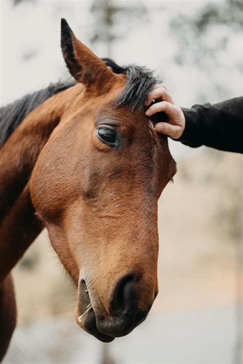 Brazilian+Naked+Girl Photos, Download The BEST Free Brazilian+Naked