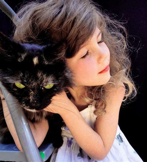 Soft kitty by MyFunnyAnimals on DeviantArt