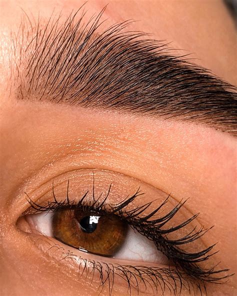 Brows Nvz - АНАТОМИЯ ВОЛОСА Волоски на бровях относятся к щетинистым ...