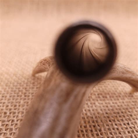 wesson  magnum barrel   stainless steel   arms