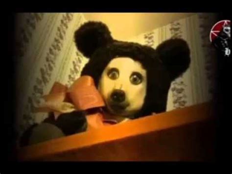 Oso del terror Random - YouTube