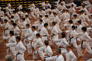 karate goju ryu  brasil kihon