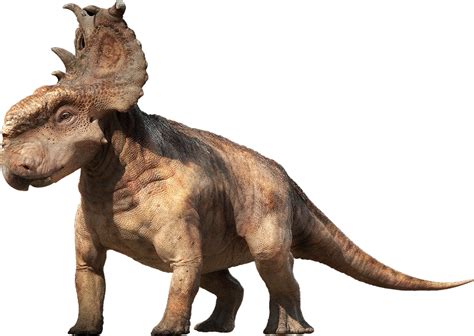 Walking with Dinosaurs Patchi the Pachyrhinosaurus by QWoodLand on ...