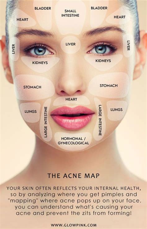 Face Map Chinese Face Map Face Mapping Face Mapping Acne Images