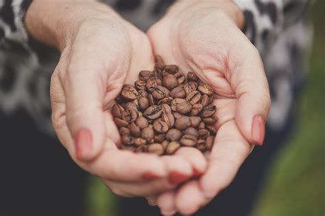 The Benefits of Single-Origin Coffee – Guatimi