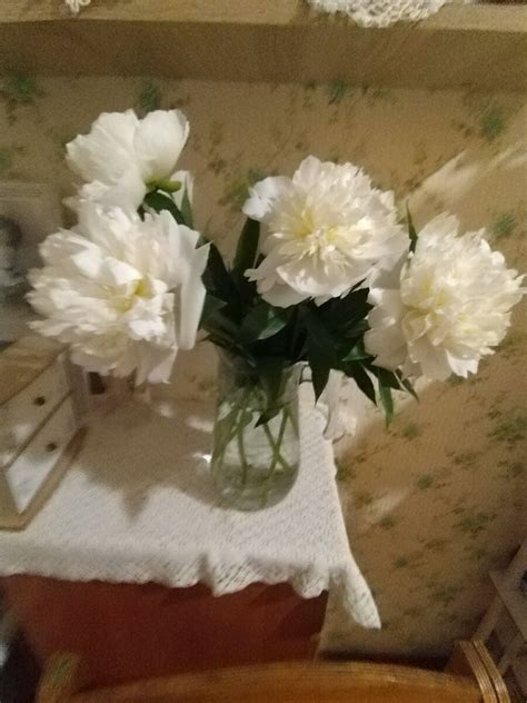 Прекрасные пионы и скромные ромашки- но все одинаково любимы🌸 | Записки ...