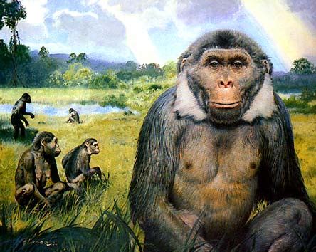 Escenarios prehistóricos: Oreopithecus