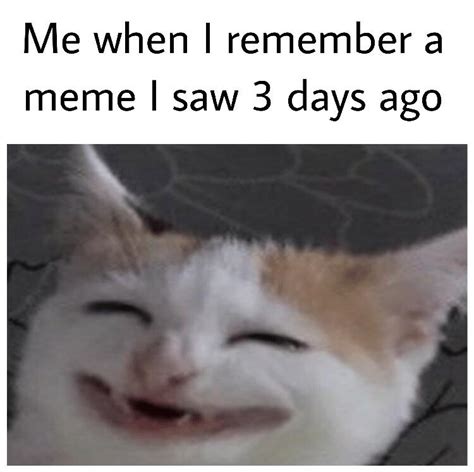 Yay happy cat : r/memes