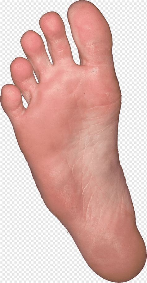 bare  foot png pngwing