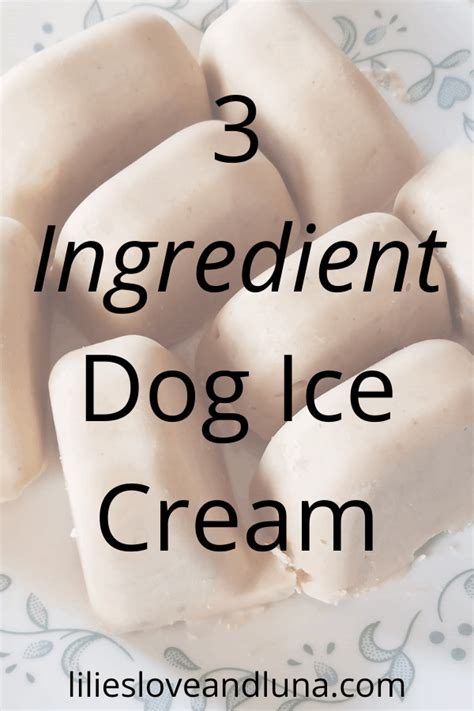 Ice Cream for Dogs - Lilies, Love, and Luna