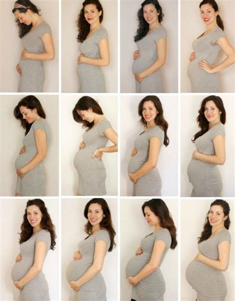 babybauchfotos-selber-machen-tipps-zeitraffer-schwangerschaft-monate ...