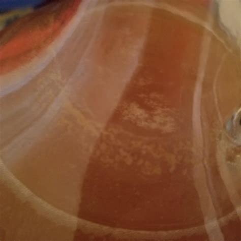 Infected pt 2 : r/mead