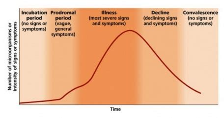 Part III - Virology