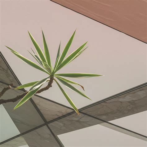 How Does Soil Depletion Affect the Nutrient Density of Modern Produce