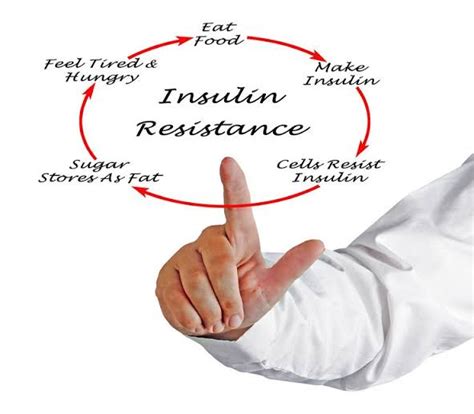 Insulin Resistance & Diabetes