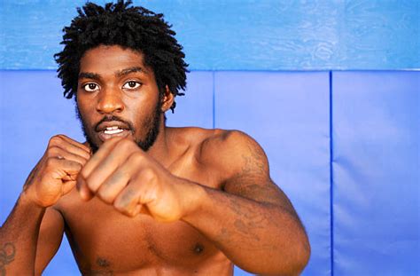 mixed martial artist stock  pictures royalty  images