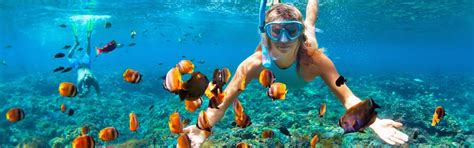 Snorkeling - Best things to do in Punta Cana