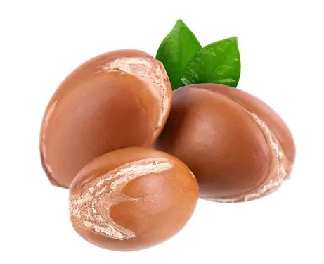 argan pictures   images  unsplash