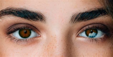 Анатомия глаза: как устроено зрение человека | World Vision Clinic
