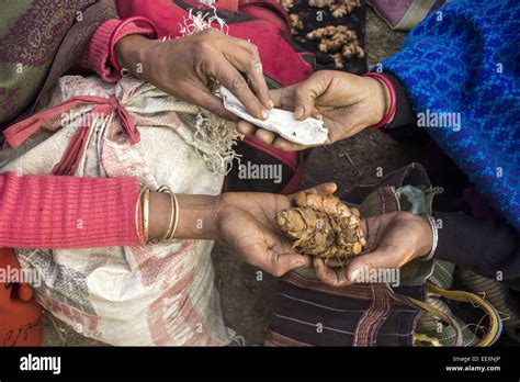 barter system  res stock photography  images alamy