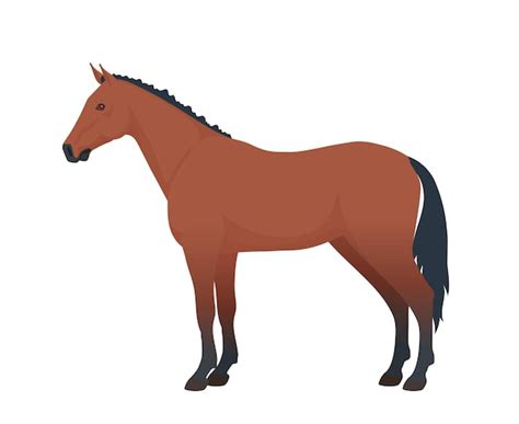 Premium Vector | Horse side view