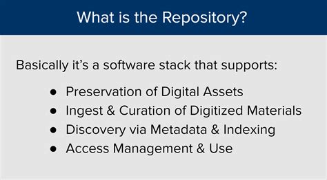 revisiting    repository bitstreams  digital