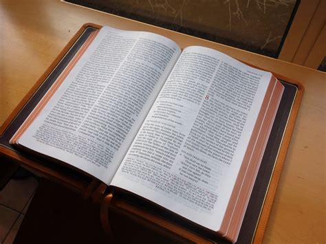 Schuyler Quentel NKJV, Tuscany Calfskin Bible | EvangelicalBible.com