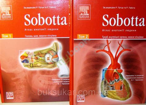 Sobotta. Атлас анатомії людини у 2-х томах (ID#1309719189), цена: 7700 ...