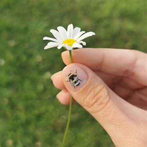 Colorful, gel French manicure : Nails