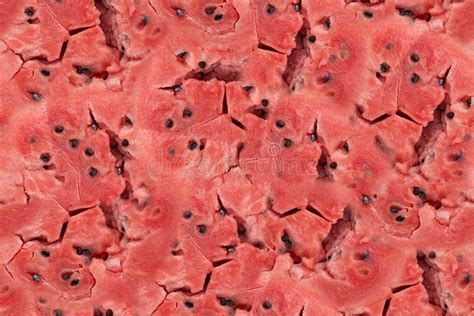 seamless flesh texture stock photo image  alien human