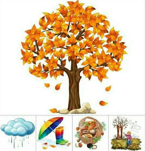 Pin by SimonaKassalova on vzdělávání | Autumn activities for kids ...