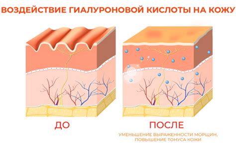 Эсте Лаудер (Estee Lauder) сыворотка для лица, глаз ночная, сужающая ...