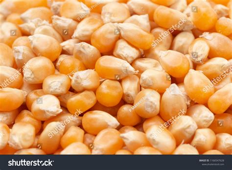 Kernal : 838 images, photos et images vectorielles de stock | Shutterstock