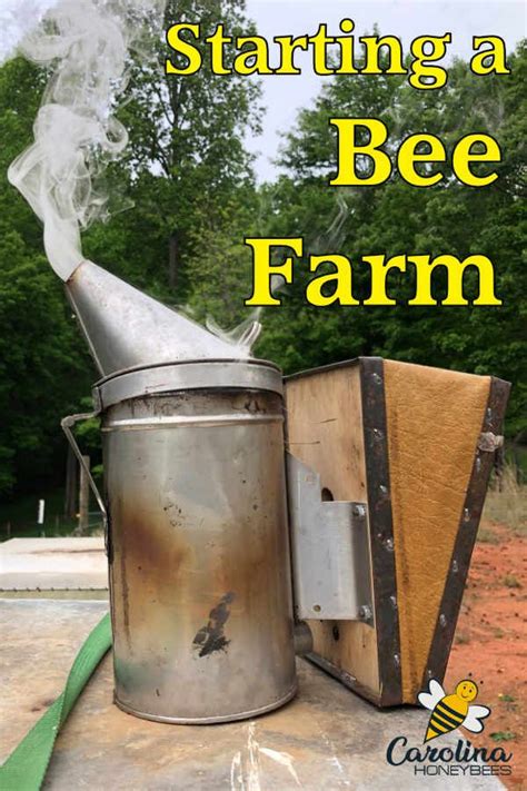 How to Start a Bee Farm- Carolina Honeybees | Bee keeping, Bee, Bee farm