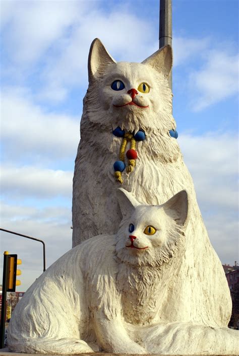 Памятники котам (30 фото)