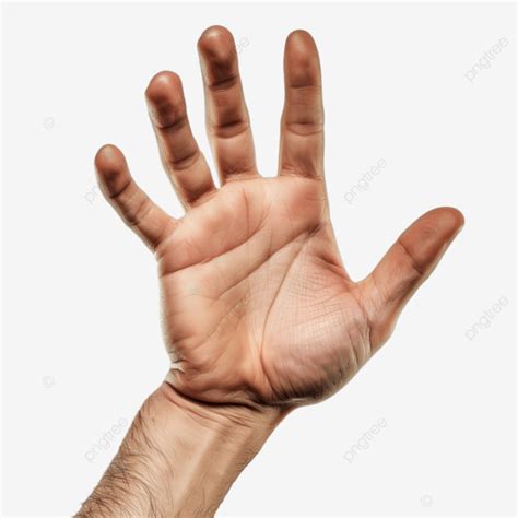 hd  hand hd hand cartoon png transparent image  clipart
