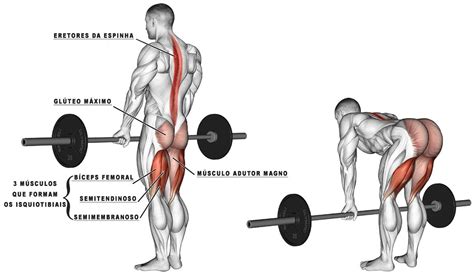 Para Que Serve O Stiff - Exercício Stiff: Para que serve, como fazer e 5 dicas para ter resultados