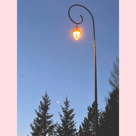 Michelle Moon Sugar (@MichMoonSugar) / Twitter