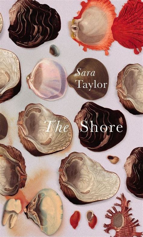 vintage book cover  seashells
