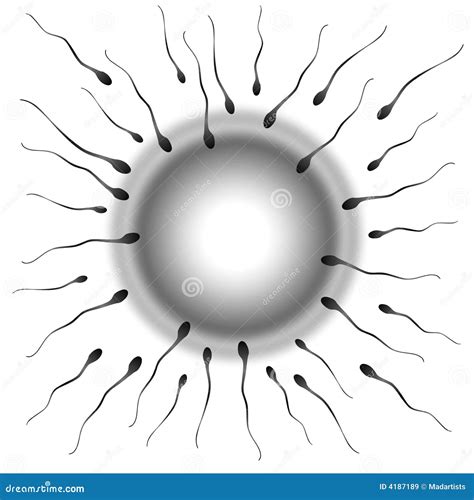 Black And White Sperm And Egg Fertilization Stock Illustration