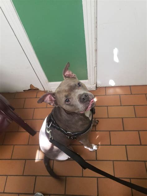 VETRIA PET WELLNESS & SURGICAL CENTER - 12 Photos & 11 Reviews - 7917 N ...