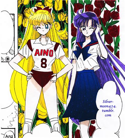 Bishoujo Senshi Sailor Moon (Pretty Guardian Sailor Moon) Image by