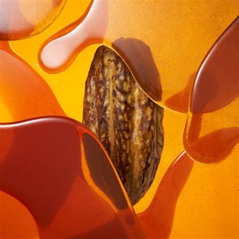 VALRHONA Offizielle Website | Außergewöhnliche Schokolade seit 1922.