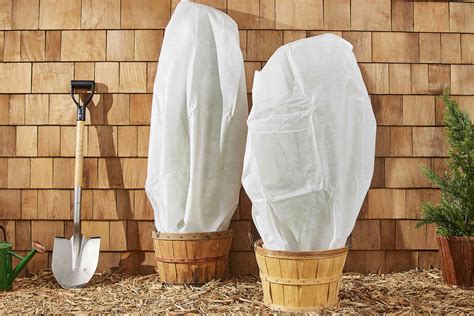 how to cover plants from frost 4