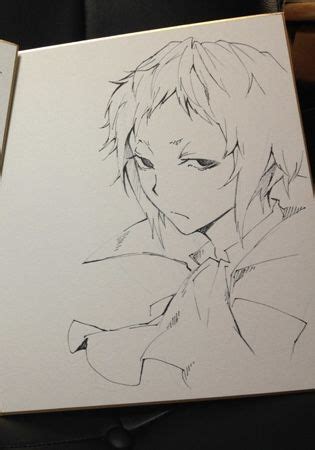 pin  kittykat  bungo stray dogs  sketches bungou stray dogs