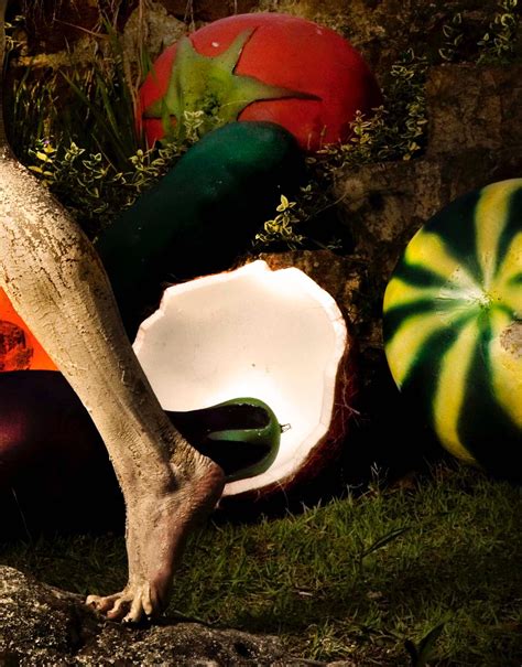 Mauricio Velez - Untitled From the "Beaty and Fantasy' series, Nude