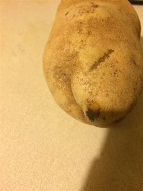 Irish porn : r/jacksepticeye