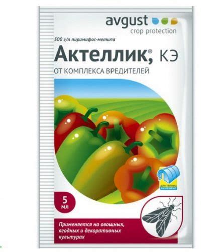 Паутинный клещ огурцов: 5 способов борьбы