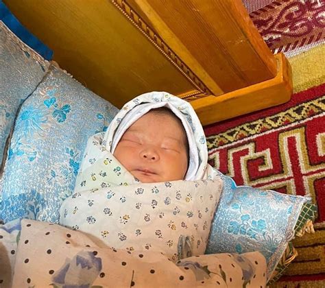 Малчны хотонд Моллай мэндэлжээ – ТАС.МН