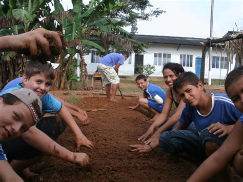 Centro De Educação Infantil Irmã Dorothy Mae Stang - Projetos desenvolvidos na Escola Irmã Dorothy Mae Stang